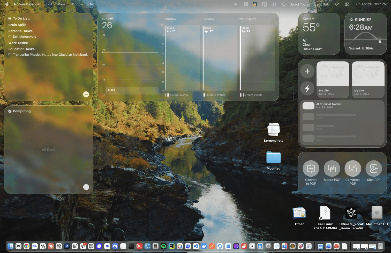 Animated Vision UI screen capture session showing the desktop recording workflow