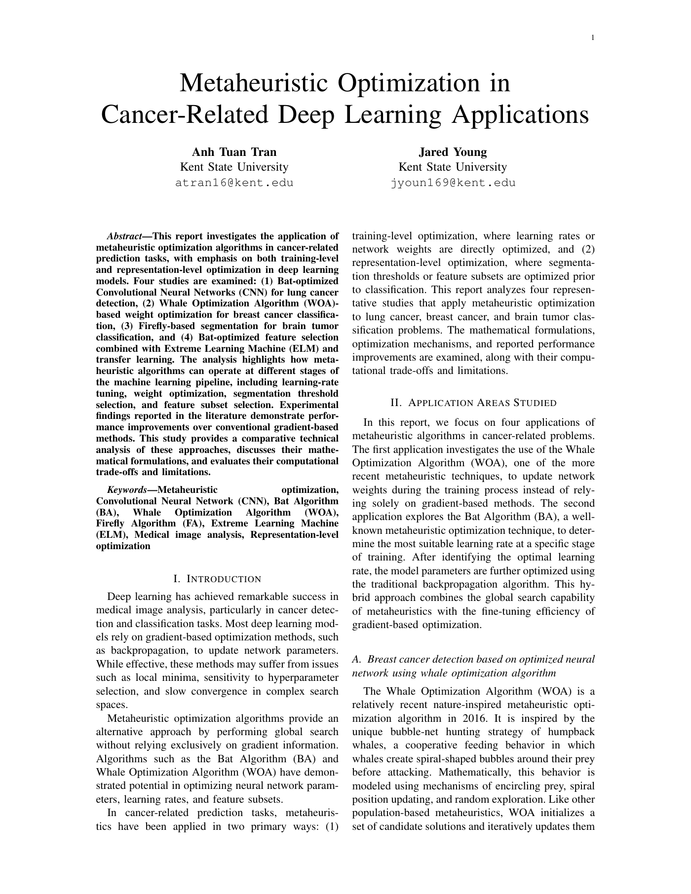 Metaheuristic optimization report cover and abstract